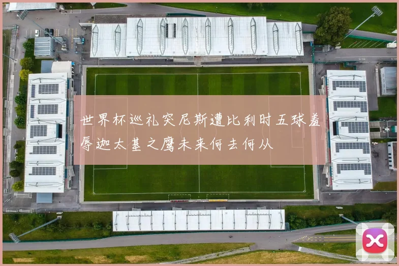 世界杯巡礼突尼斯遭比利时五球羞辱迦太基之鹰未来何去何从
